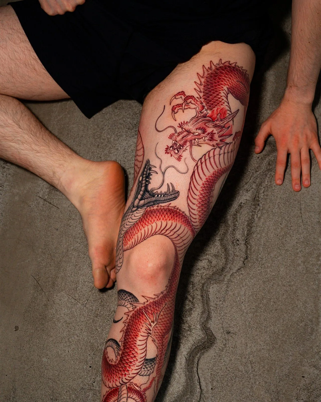 Red Dragon Leg
