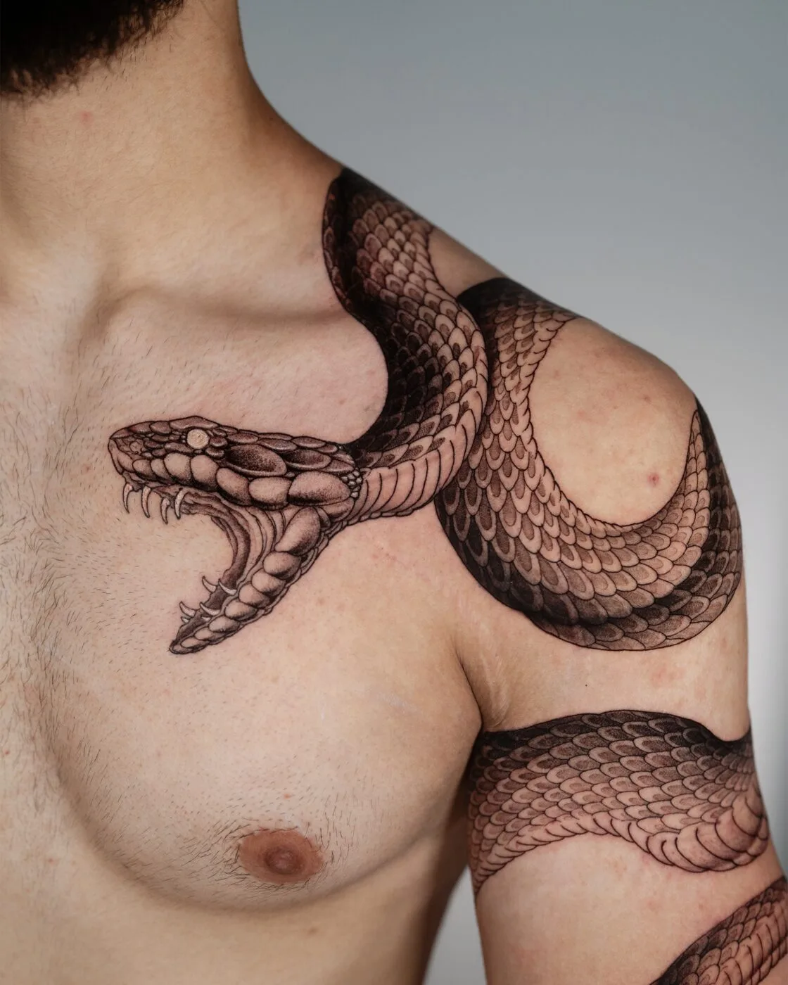 Snake